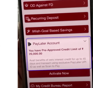 What is UPI Pay Later Account 